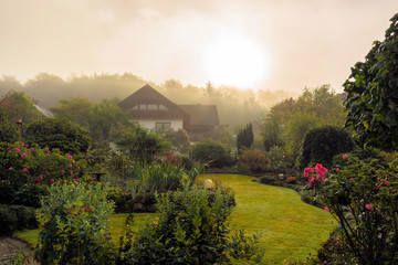 Obraz premium Garten am Morgen
