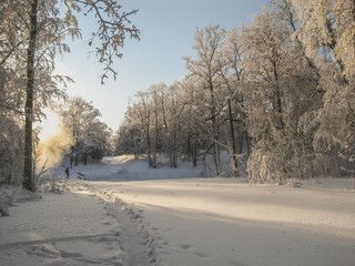 Fluffy snow