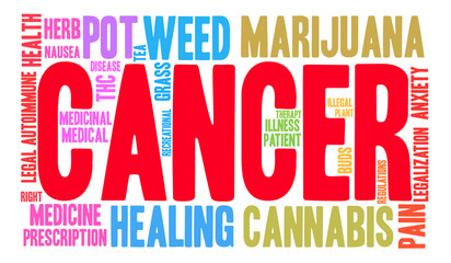 Cancer Marijuana Word Cloud