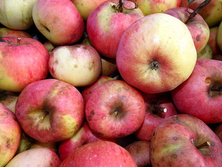 Fototapeta na wymiar Apples, small apple,