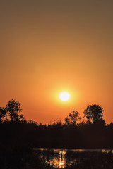 Fototapeta na wymiar Russian trees at sunset