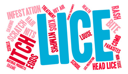 Lice Word Cloud on a white background. 