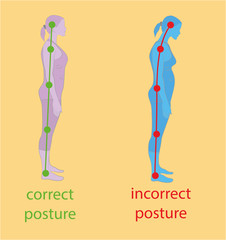 Correct alignment of human body in standing posture for good personality and healthy of spine and bone. Health care and medical illustration