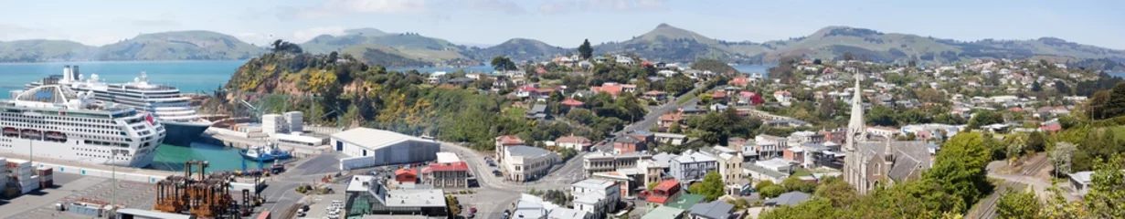Afwasbaar Fotobehang Nieuw-Zeeland Port Chalmers-panorama