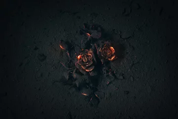 Papier Peint photo Roses Rose enterrée dans les cendres