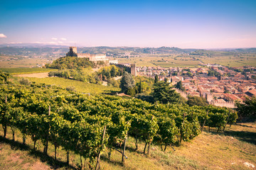 Fototapeta na wymiar view of Soave (Italy) and its famous medieval castle.