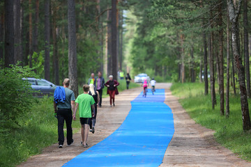 Blue track in the forest for thiathlon