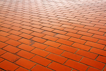 Outdoor Clay Brick Pavers Forming a Patterned Pathway