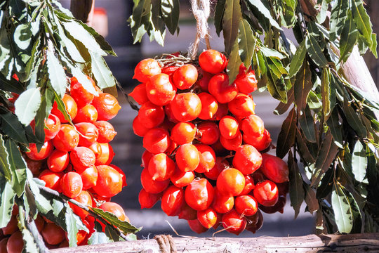 the typical neapolitan piennolo: bunch of  tomatoes hanging to dry 
