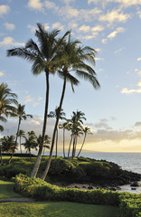 Sunset with palm trees on the island of Maui, Hawaii