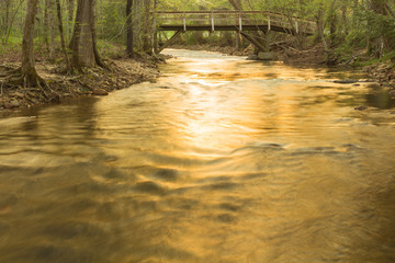 Golden Quiet Creek
