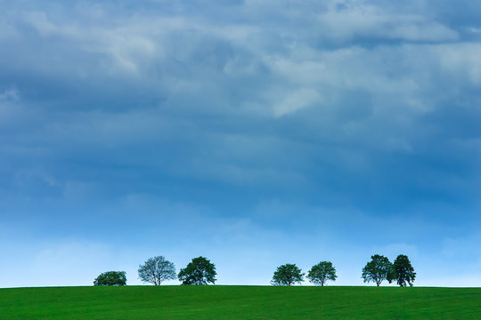 B&auml;ume auf Wiese vor Gewitter-Himmel