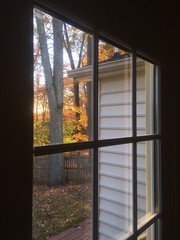 Fototapeta premium window on fall foliage in afternoon