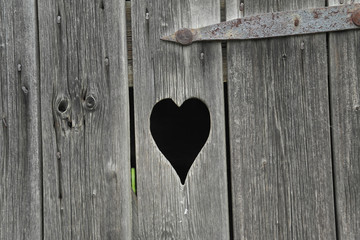 Door to Love