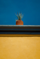 Fototapeta premium San Miguel de Allende