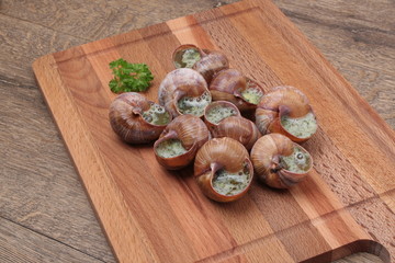 Snails with garlic, butter as french gastronomy gourmet food.