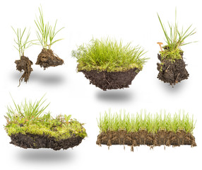 set green grass