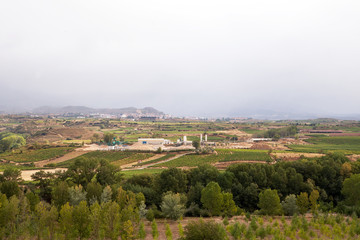 Fototapeta na wymiar Haro Countryside & Vineyards, La Rioja, Spain