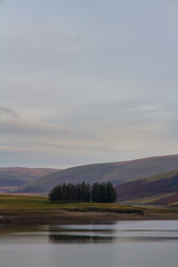 Trees reflected in the Craig Goch Reservoir, on edge of Mid-Wale