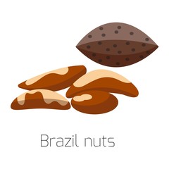 Pile of nuts vector illustration Brazil 