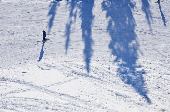 Snowboarder passing the country near by high evergreen trees © kovop58
