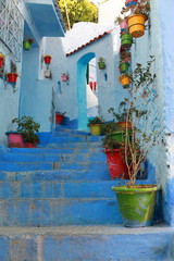Fototapeta na wymiar Flowerpots on the steps of a street in Chefchaouen, Morocco
