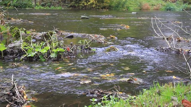 Der Fluss Bode im Harz