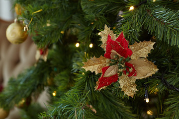 Christmas and New Year background.