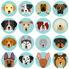 dog faces set with circle