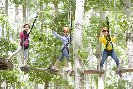 Happy children playing in tree top adventure park