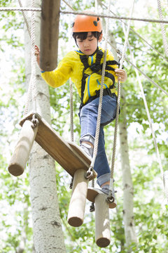 Little boy playing in tree top adventure park