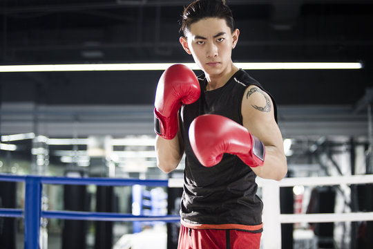 Portrait of boxer