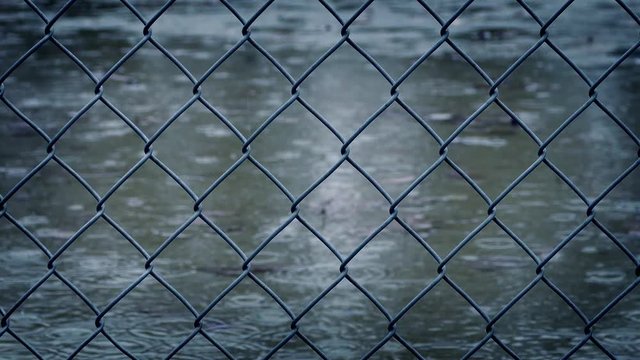 Wire Fence In Rainfall