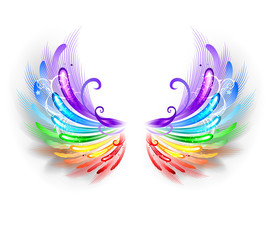 Fototapeta na wymiar Rainbow Wings on a White Background