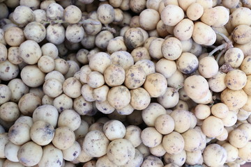 Pile of fresh Wollongong fruit.