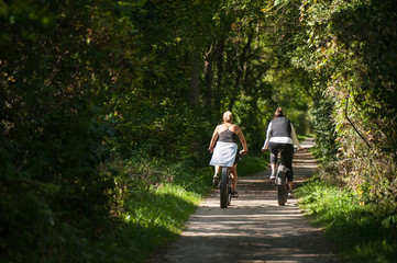 Biking in Forest