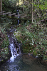 Fototapeta premium 愛媛県 三滝渓谷 トックリ淵上流の風景