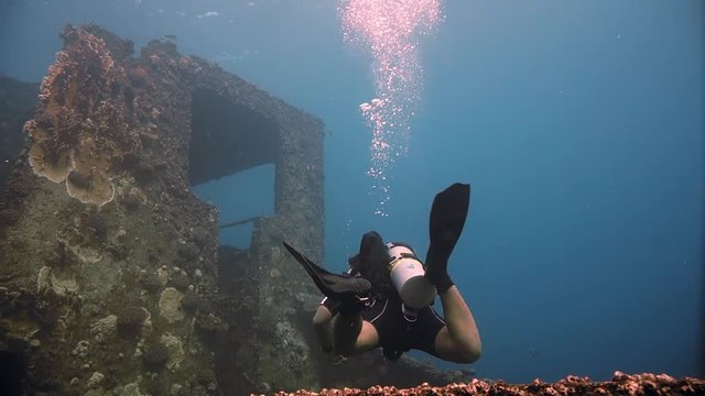 Divers visiting the wreck Giannis D, Red Sea, Sharm el Sheikh, Egypt