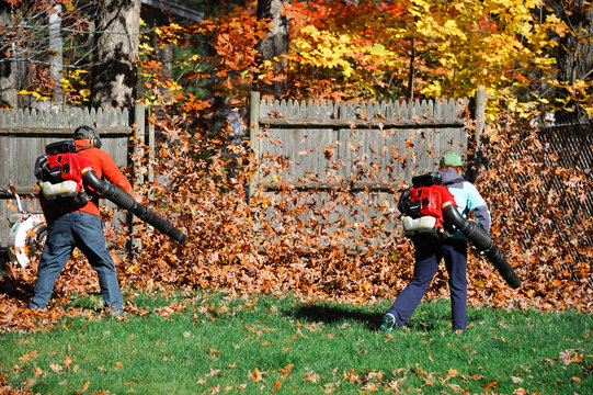 outdoor manual worker clean the fallen leaves on the road by blower in autumn