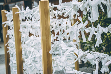 Omikuji - paper strips with random fortunes in Fushimi Inari Taisha Shrine,  Japanese temple Kyoto, Japan. People leave the omikuji behind if it's not a good one.