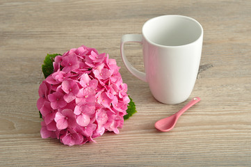 A pink Hydrangea with a white mug and a pink spoon
