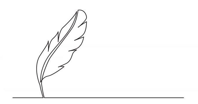 animation of continuous line drawing of quill
