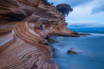Painted Cliffs on Maria Island National Park, Tasmania, Australia. Eroded layers of iron oxide form interesting patterns in the coastline. - obrazy, fototapety, plakaty