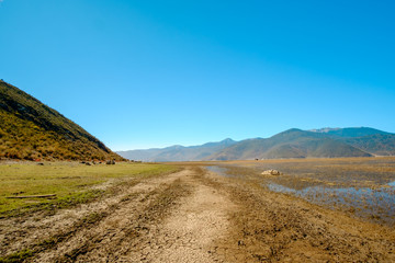 grassland,pasturage, at Npahai scenic area, Yunnan, China