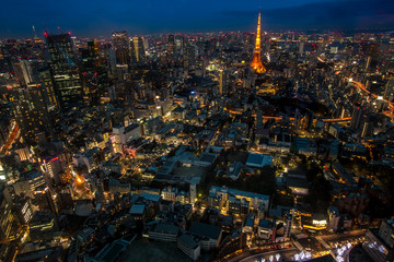 Naklejka premium Night view of Tokyo in Japan cityscape Tokyo tower