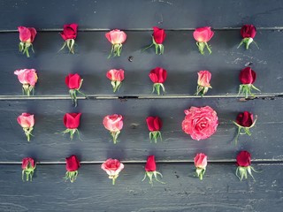 fresh red and pink roses on the wooden table