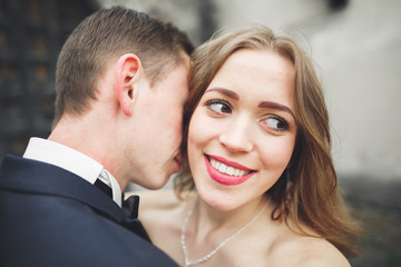 Happy wedding couple hugging and smiling each other on background old castle
