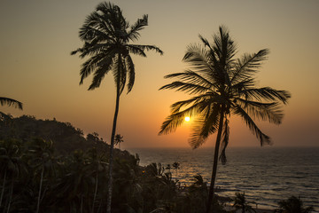 Fototapeta premium Beautiful Sunset in Goa India
