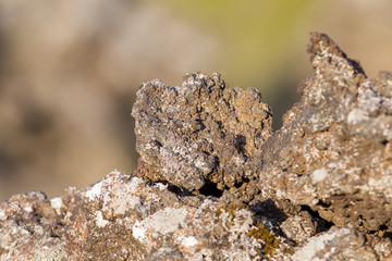 Lava rock from volcano - Iceland