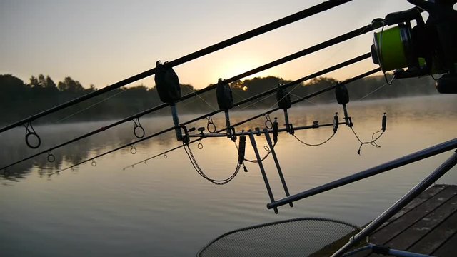 Rod pod carp sport fishing on the lake